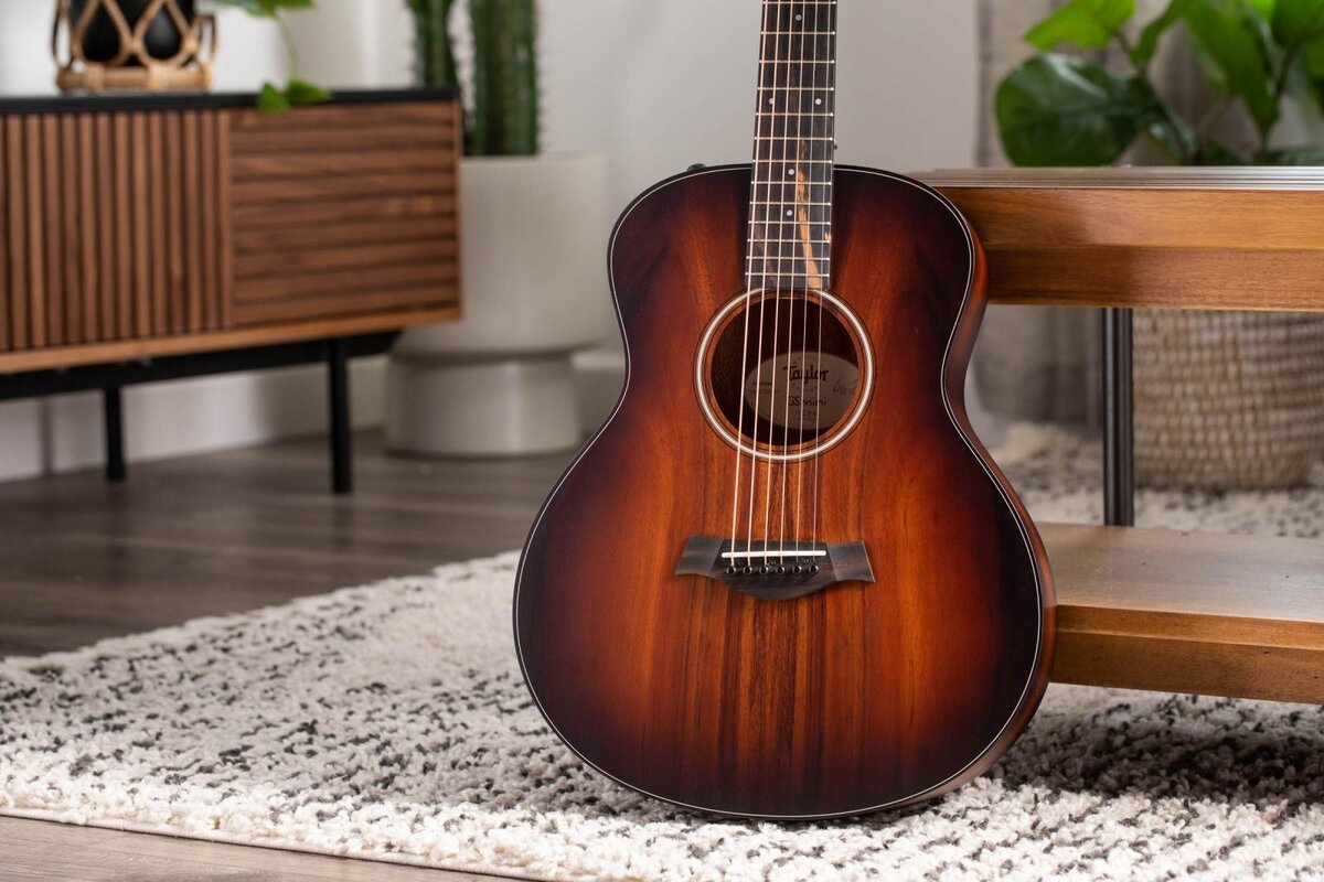 Taylor GS Mini